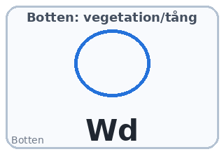 Botten: vegetation/tång