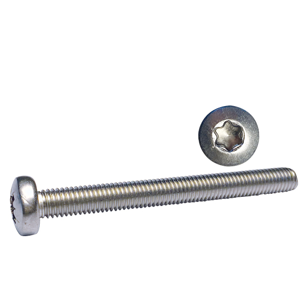 Maskinskruv kullrigt huvud Torx-spår 4x25 A4 ISO14583 10 st.
