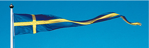 H1181160