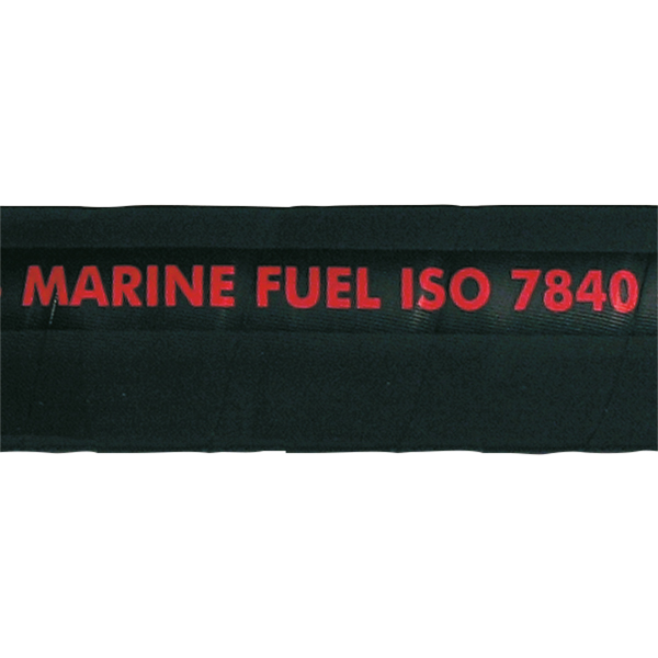 H1542365