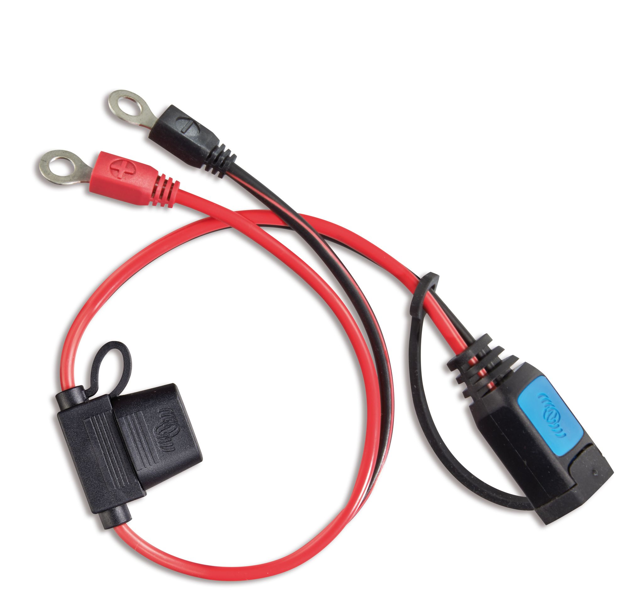 M6 eyelet connector (with 30A fuse)